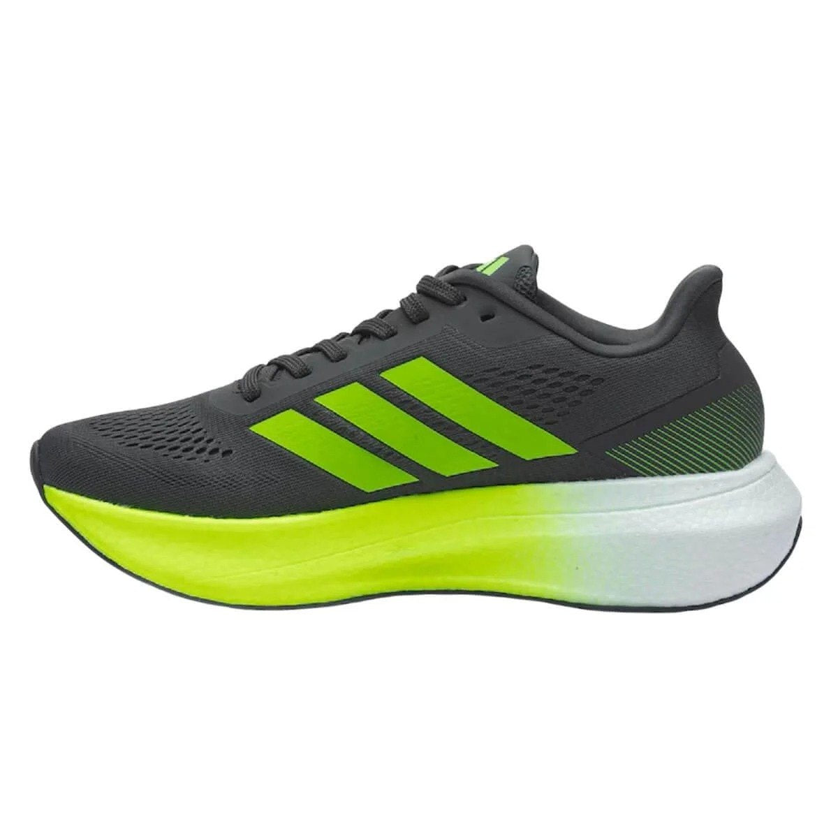 TENIS BOOST RUN M 38
