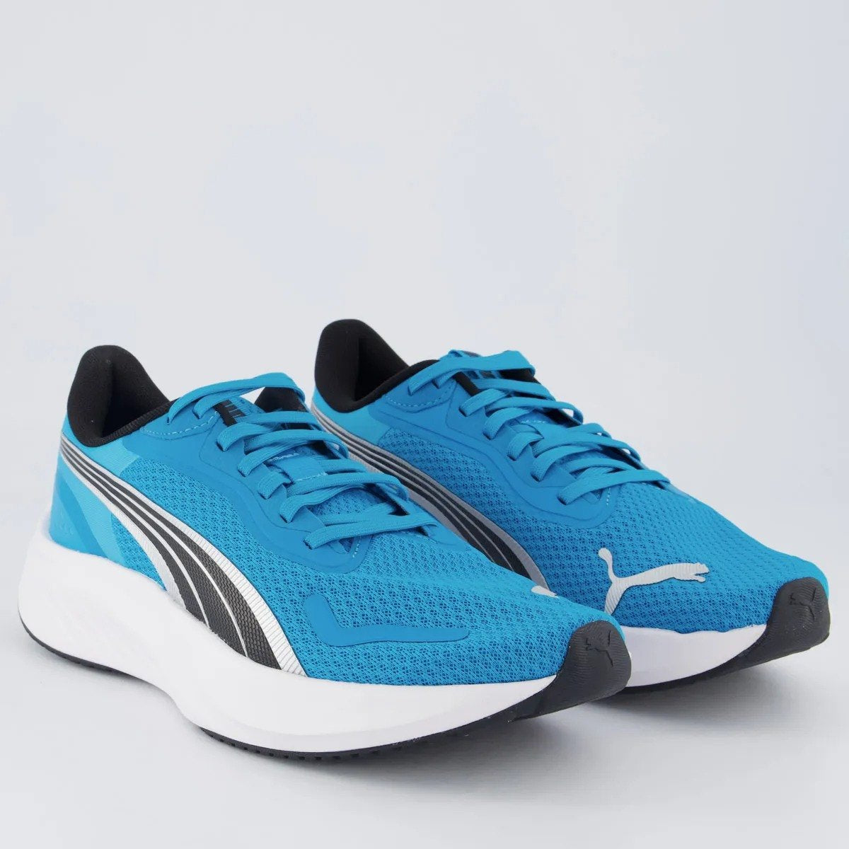 TENIS POUNCE