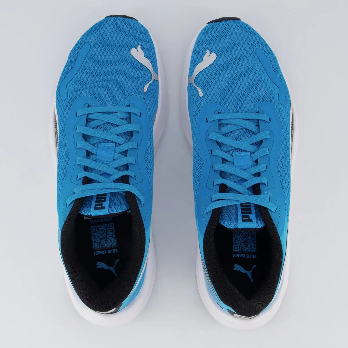 TENIS POUNCE