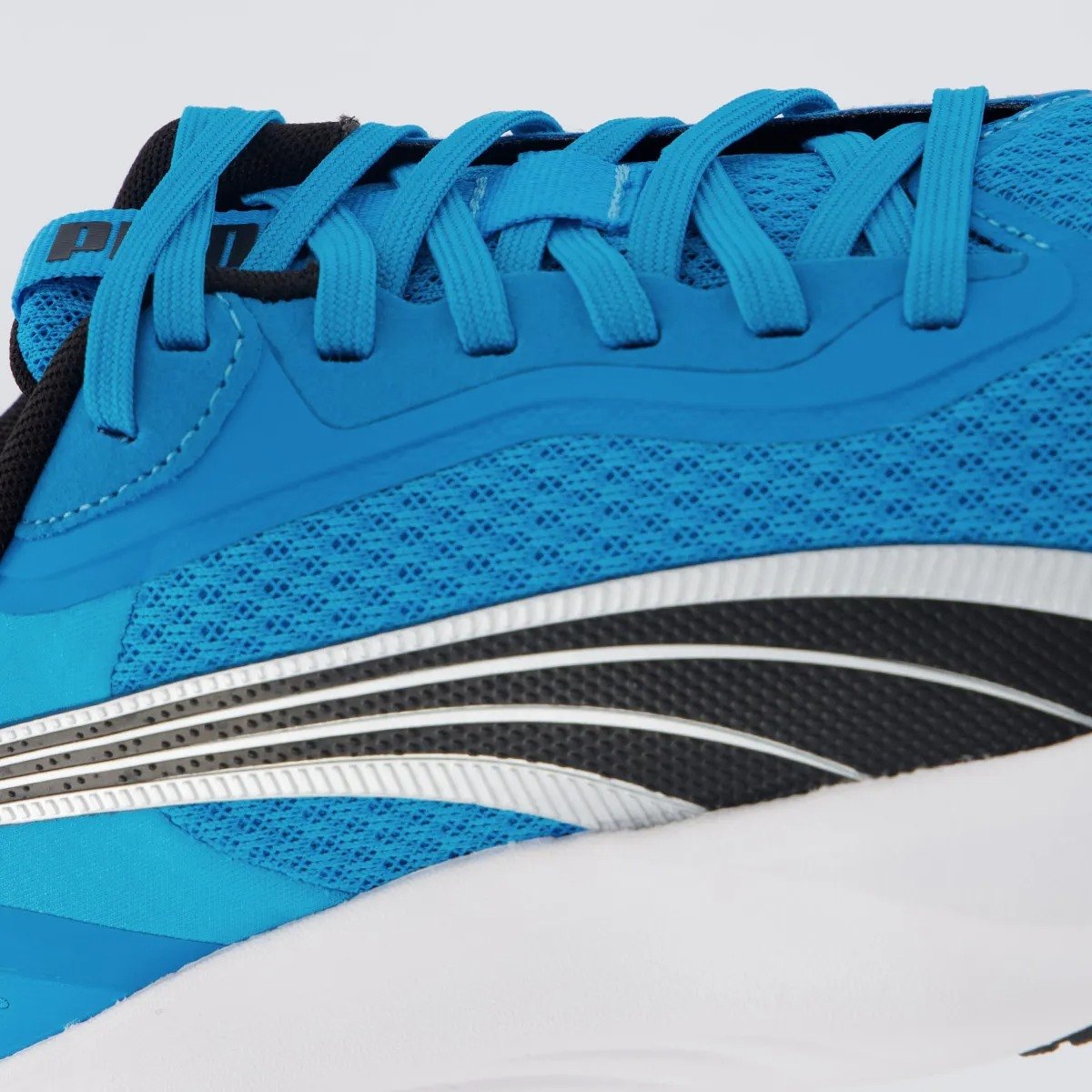 TENIS POUNCE